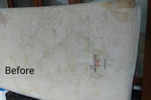 WhatsApp Image 2024-05-28 at 14.13.02 (1) WhatsApp Image 2024-05-28 at 14.13.02 (1)