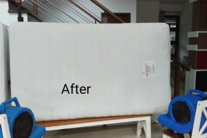 WhatsApp Image 2024-05-28 at 14.13.02 WhatsApp Image 2024-05-28 at 14.13.02