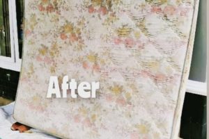 WhatsApp Image 2024-05-28 at 14.13.05 WhatsApp Image 2024-05-28 at 14.13.05